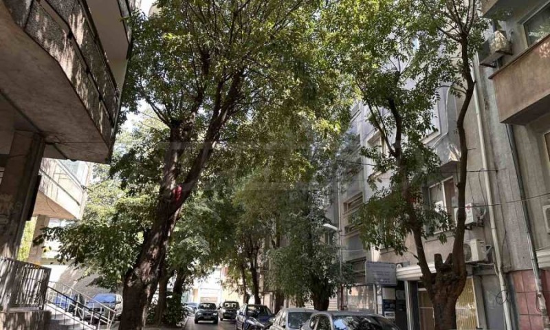 Kiralık  Ofis Varna , Zimno kino Trakiya , 37 metrekare | 44253072