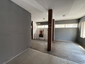 ����� ���� ��� ���� ���/������� ������,���� �������, ����� �����