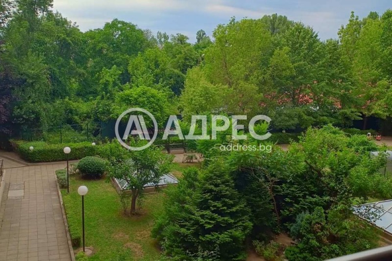 For Rent  Studio Sofia , Lagera , 31 sq.m | 34700304 - image [3]
