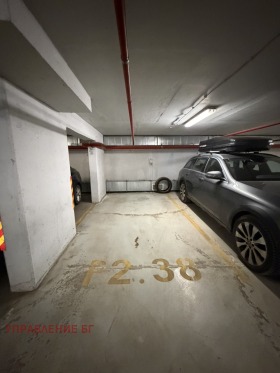 ����� ���� ��� ���� ����������,���� �����, ������