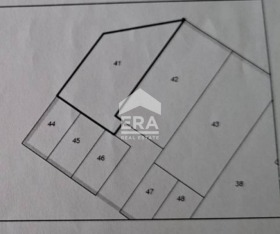 ������ ���� ��� ���� �������