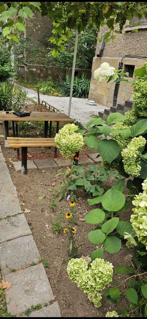 Дава под наем 1-СТАЕН, гр. Плевен, Идеален център, снимка 17 - Апартаменти - 52783323