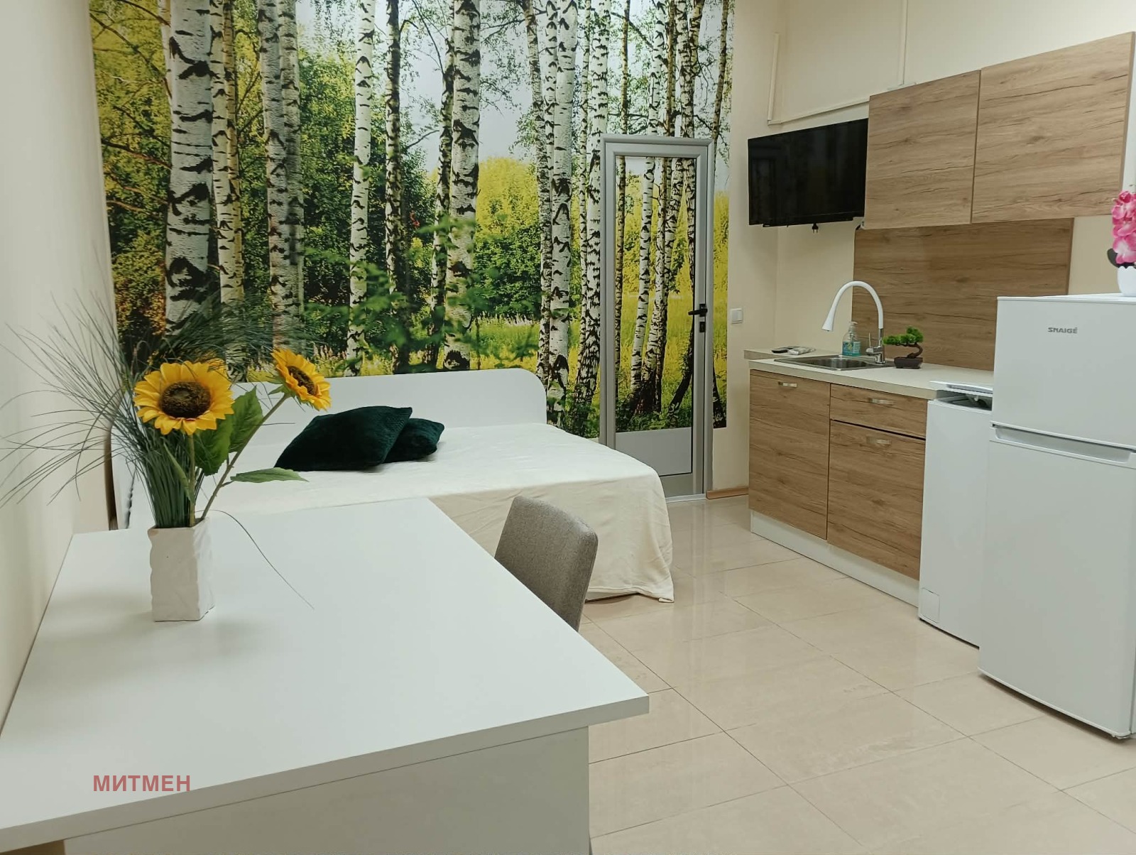 Дава под наем АТЕЛИЕ, ТАВАН, гр. София, Сухата река