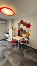 Под наем 2-СТАЕН, град Пловдив, Кършияка • 460 € / 899.68 лв. • 66929913 3