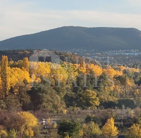 ������ ���� ��� ���� 2-�����