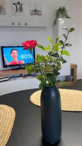 2 bedroom m-t Evksinograd, Varna