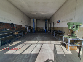 ������ ���� ��� ���� ������ ����