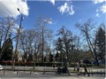 Дава под наем ЗАВЕДЕНИЕ, гр. София, Център, снимка 2