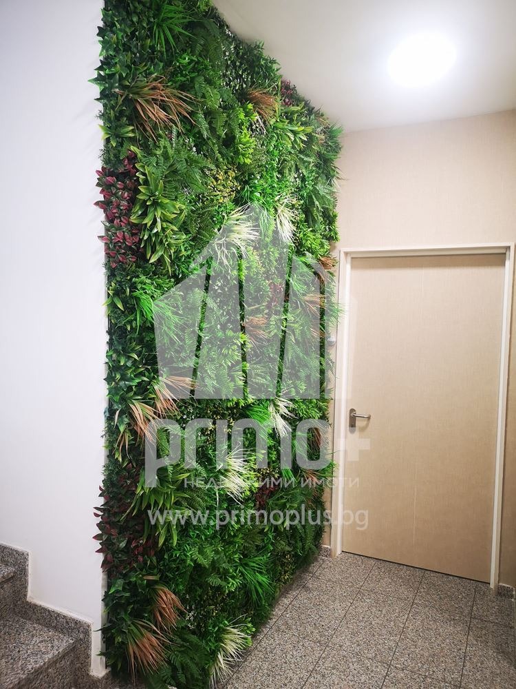 Do wynajęcia  Biuro Sofia , Chipodruma , 238 mkw | 17498426 - obraz [14]