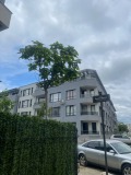Дава под наем 2-СТАЕН, гр. София, Малинова долина, снимка 1