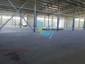 ������ ���� ��� ���� �����