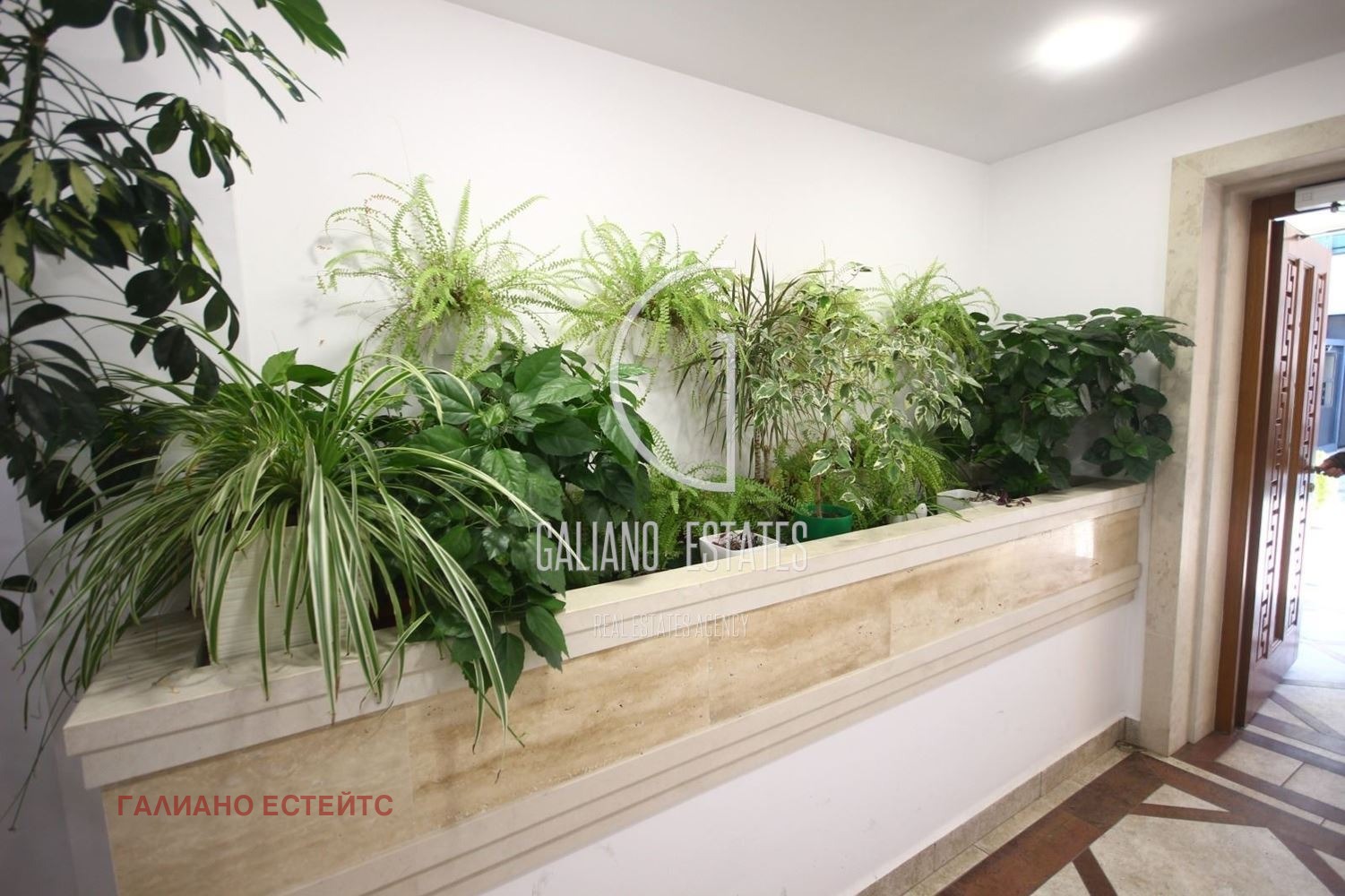 ���� ��� ���� 1-����� | Imot.bg � ����������� 7