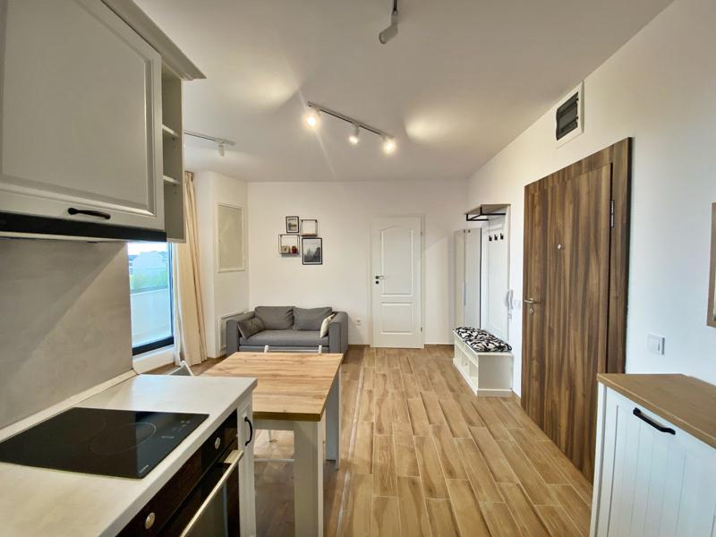 Дава под наем 2-СТАЕН, гр. София, Кръстова вада, снимка 4 - Апартаменти - 53965892