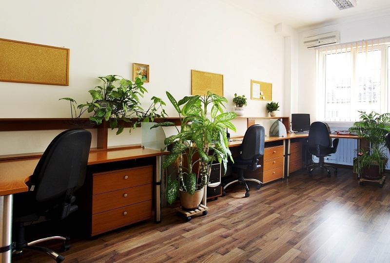 ���� ��� ���� ���� | Imot.bg � ����������� 3