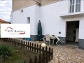 Дава под наем  2-стаен град София , Модерно предградие , 80 кв.м | 26534616 - изображение [11]