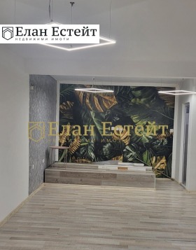 ����� ���� ��� ���� ����������/���������� �����,���� ������, ������