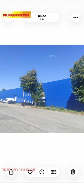 ������ ���� ��� ���� �������