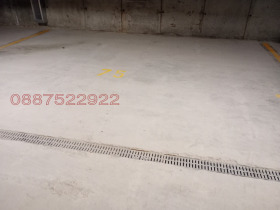 ������ ���� ��� ���� �����, ����������