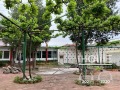 Дава под наем ЗАВЕДЕНИЕ, гр. Червен бряг, област Плевен, снимка 2