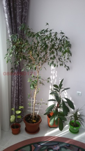 ���� ��� ���� 2-����� | Imot.bg � ����� ������ 2