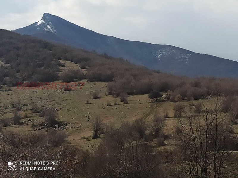 Дава под наем БИЗНЕС ИМОТ, с. Върбовчец, област Видин, снимка 9 - Други - 53115586