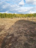 Дава под наем  Място град София , с. Световрачене , 700 кв.м | 78546483 - изображение [2]