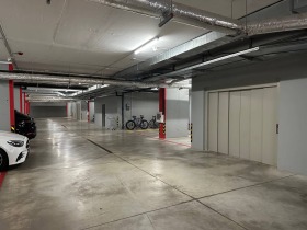 ����� ���� ��� ���� ����������,���� ������, �������