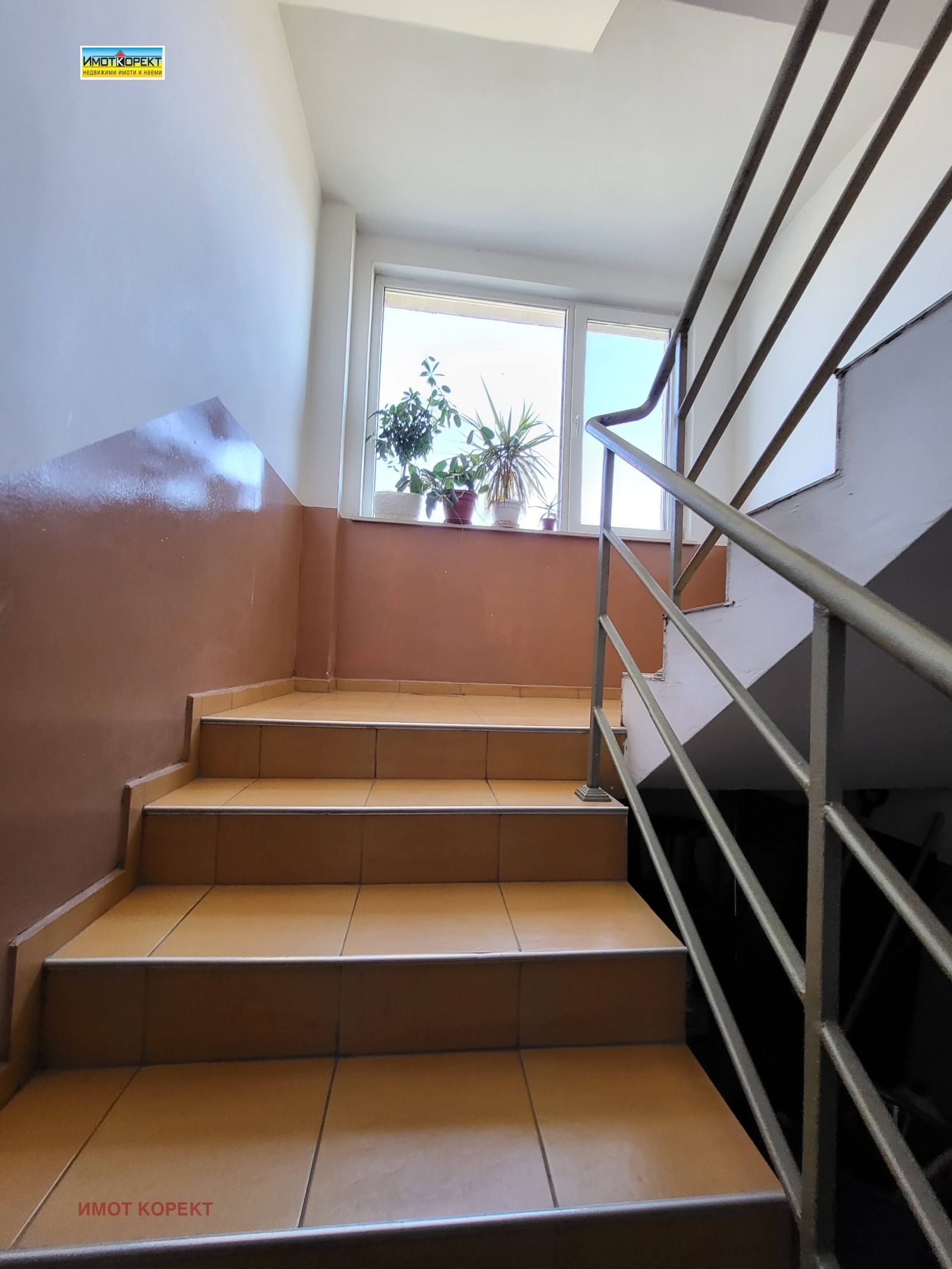 ���� ��� ���� 2-����� | Imot.bg � ����������� 17