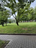 Дава под наем МАГАЗИН, гр. София, Банишора, снимка 2