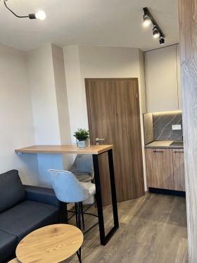 1 chambre Ovtcha koupel, Sofia 5