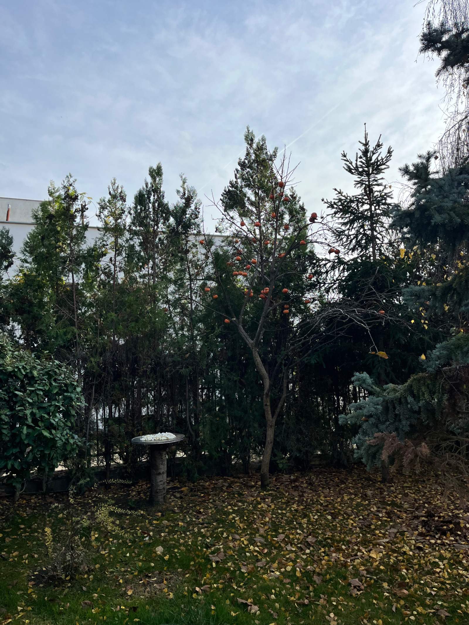 ���� ��� ���� 2-����� | Imot.bg � ����������� 14