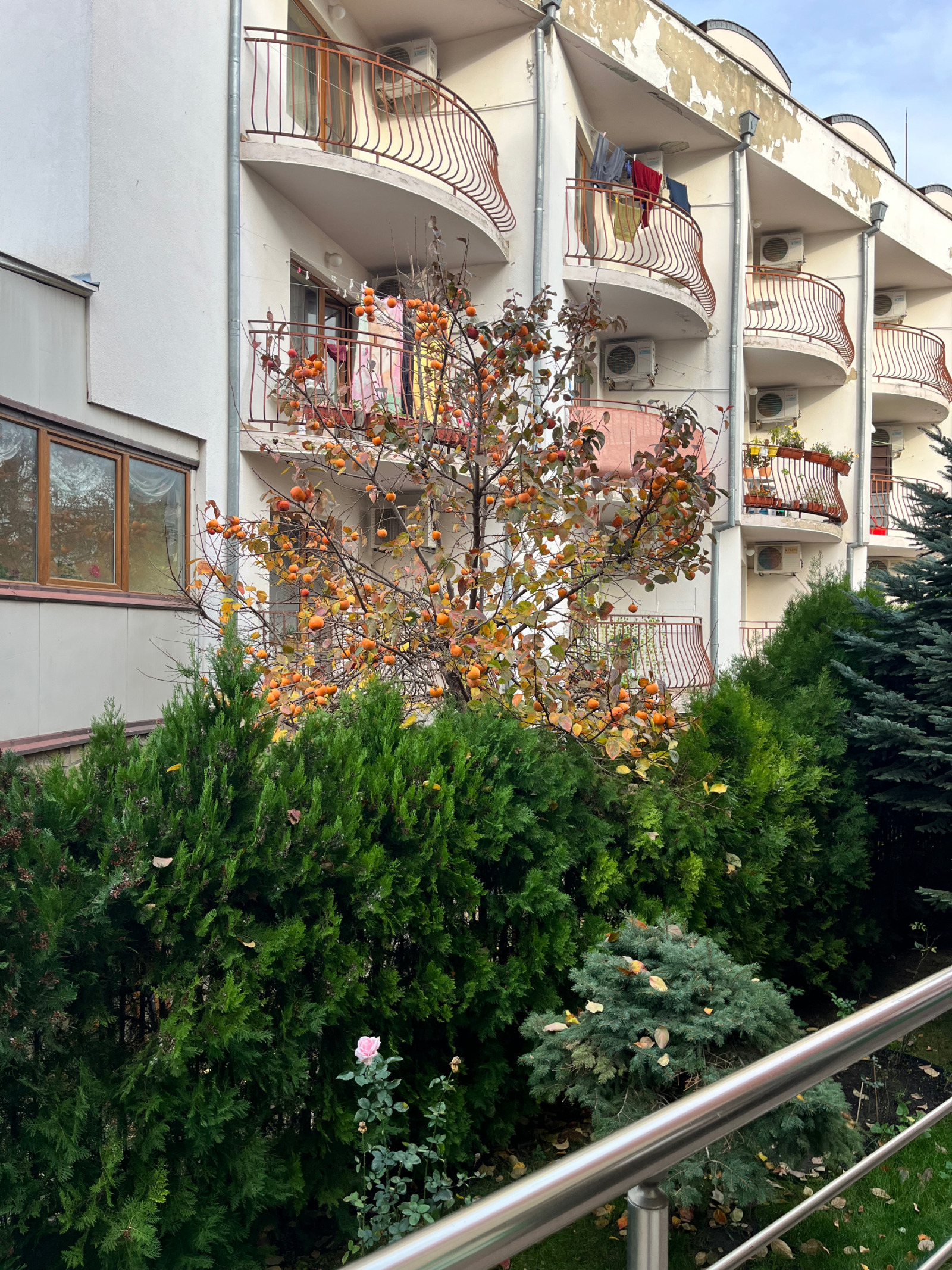 ���� ��� ���� 2-����� | Imot.bg � ����������� 12