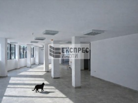 ������ ���� ��� ���� ����