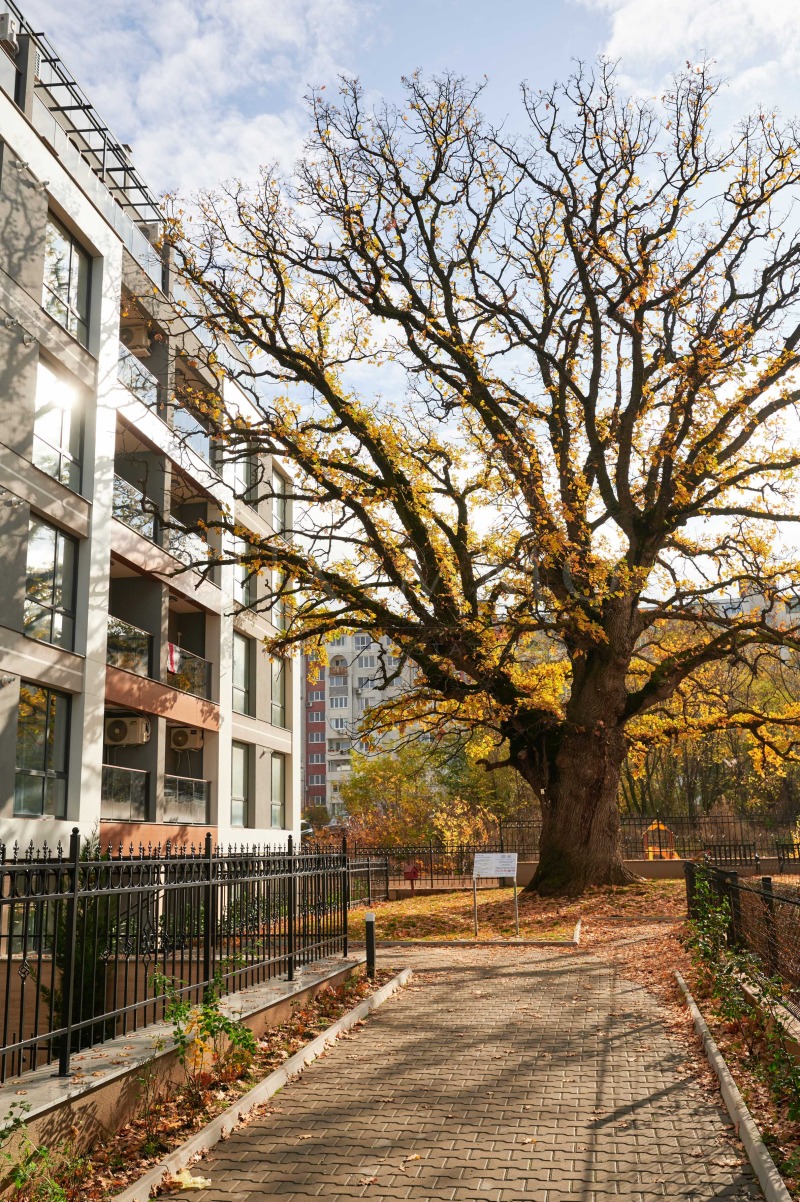 Дава под наем 2-СТАЕН, гр. София, Малинова долина, снимка 16 - Апартаменти - 52661104