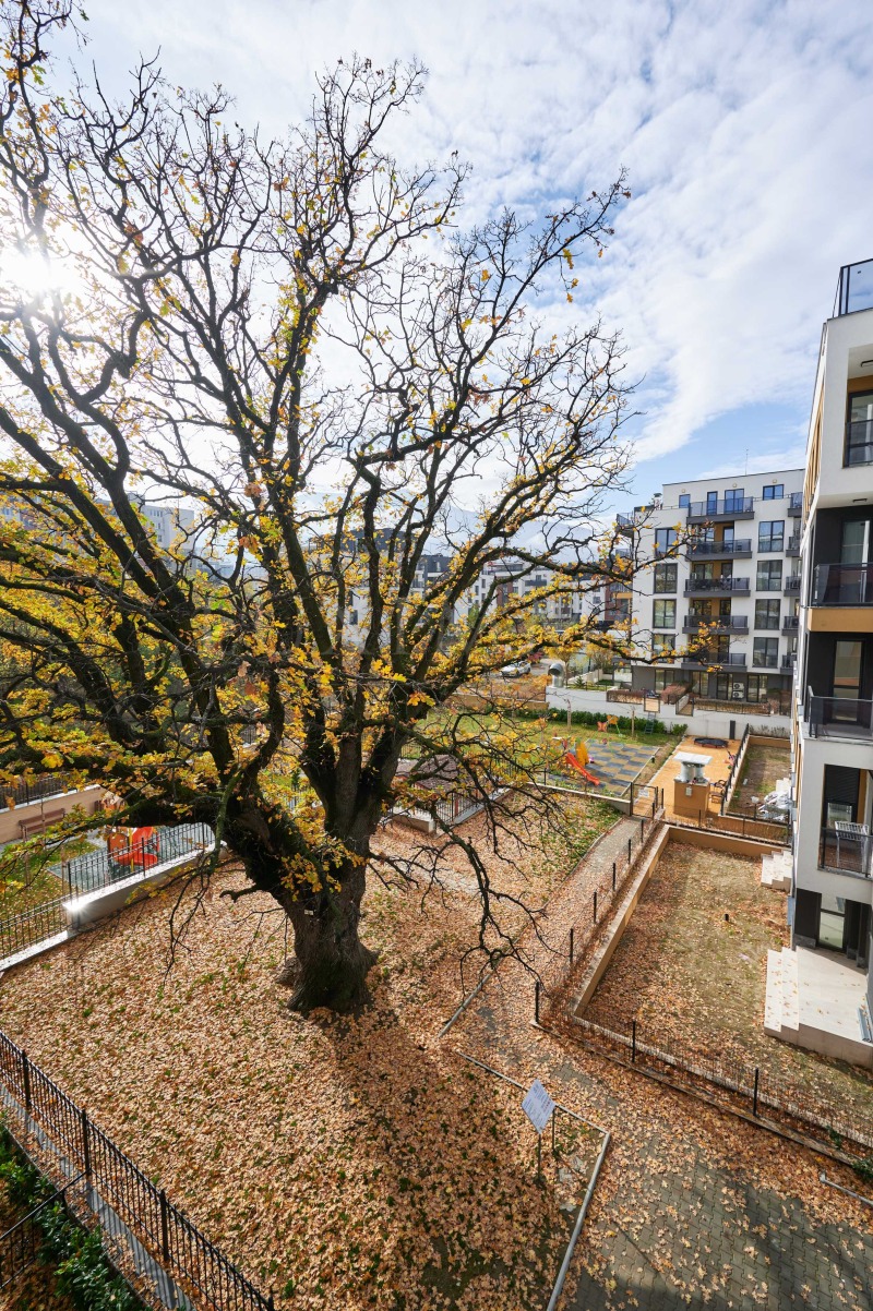 Дава под наем 2-СТАЕН, гр. София, Малинова долина, снимка 15 - Апартаменти - 52661104