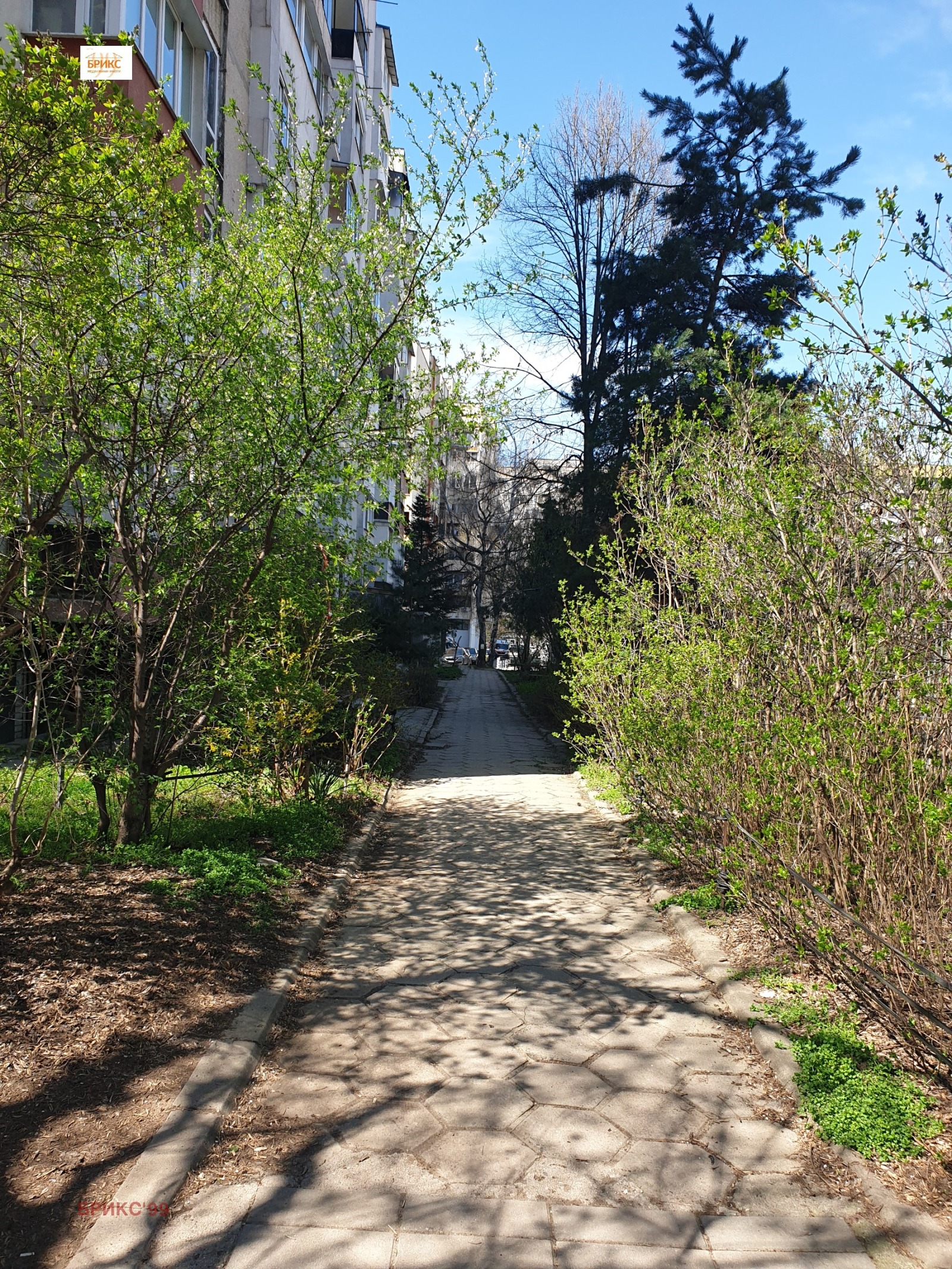 ���� ��� ���� 1-����� | Imot.bg � ����������� 11