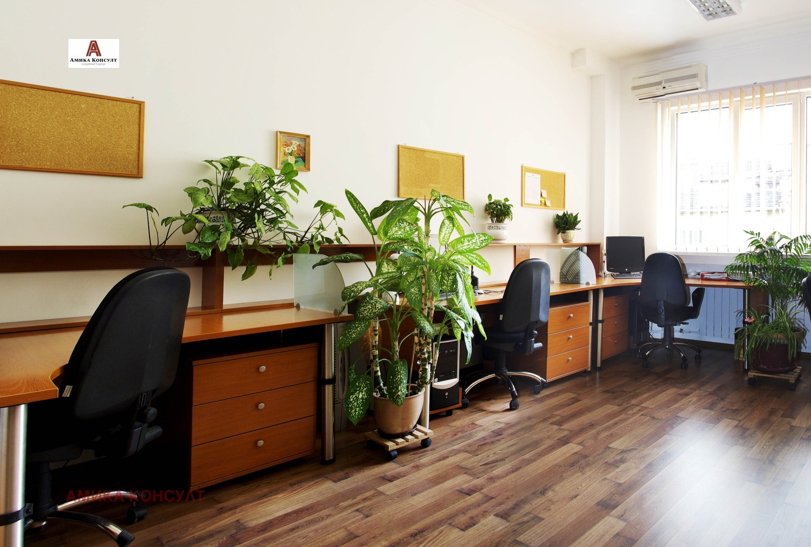 ���� ��� ���� ���� | Imot.bg � ����������� 1