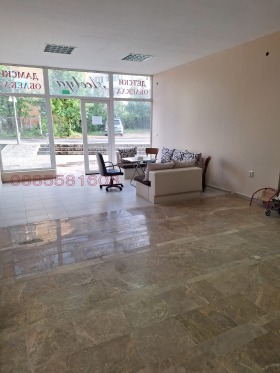 ����� ���� ��� ���� �������,���� ��������, �����������