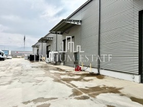 ����� ���� ��� ���� �����,���� �������, ������������ ���� - ��