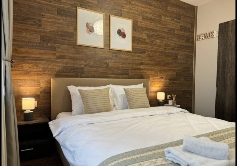 Дава под наем 2-СТАЕН, гр. Пловдив, Център, снимка 2 - Апартаменти - 52659045