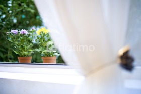    1- | Imot.bg    8