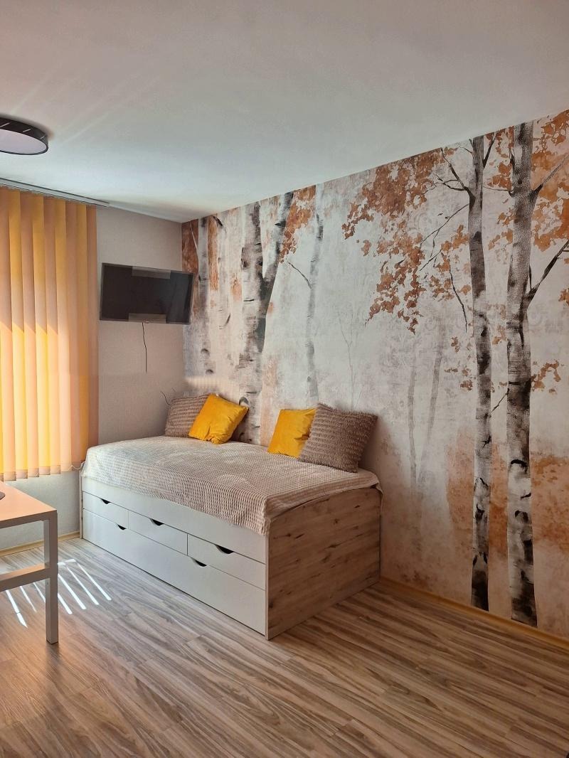 Zu vermieten  Studio Sofia , Zentar , 27 qm | 66105192 - Bild [4]