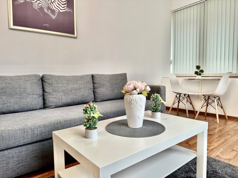 Дава под наем 2-СТАЕН, гр. Пловдив, Център, снимка 2 - Апартаменти - 53165707